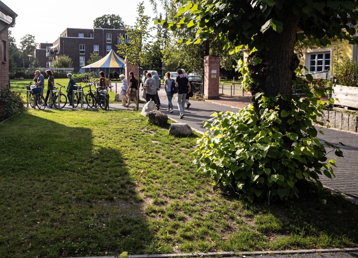 Lindenbäume säumen den Weg, Foto: Heinz Brossolat