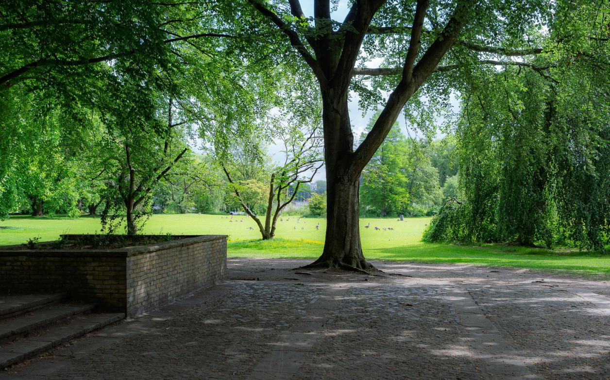 Foto: Heinz Brossolat