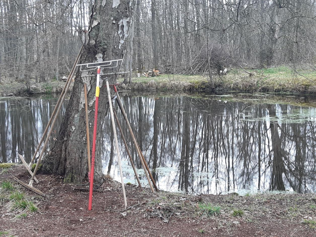 Garteneinsatz am Künstlerhaus Maetzel