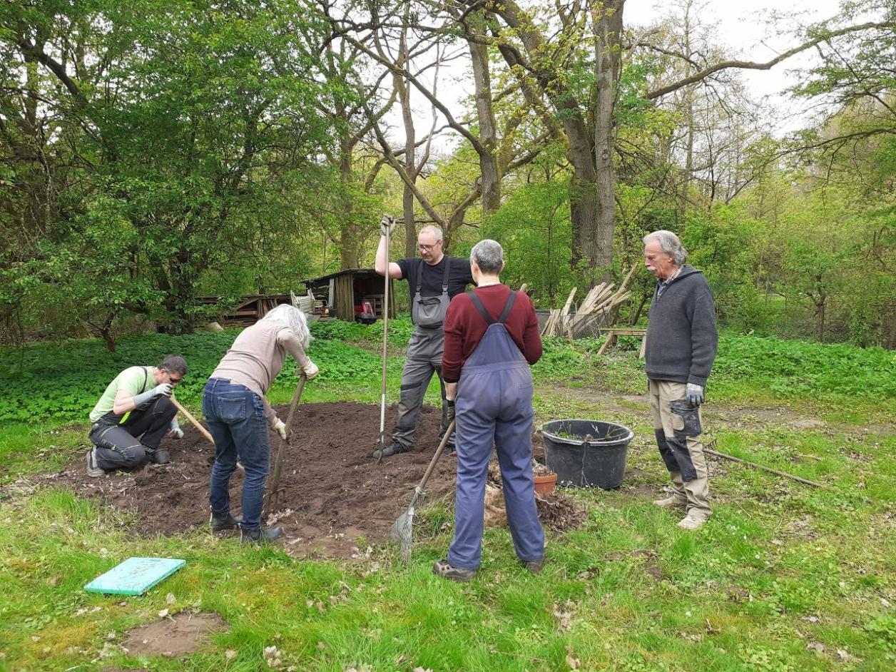 Das runde Topinambur-Beet wird beackert, Foto: Nicole Drost