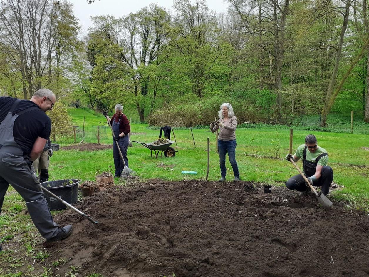 Voller Einsatz für das Tompinambur-Beet, Foto: Nicole Drost