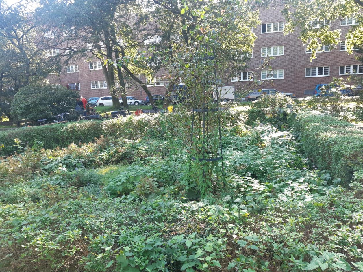 Garteneinsatz im Rosengarten Dulsberg