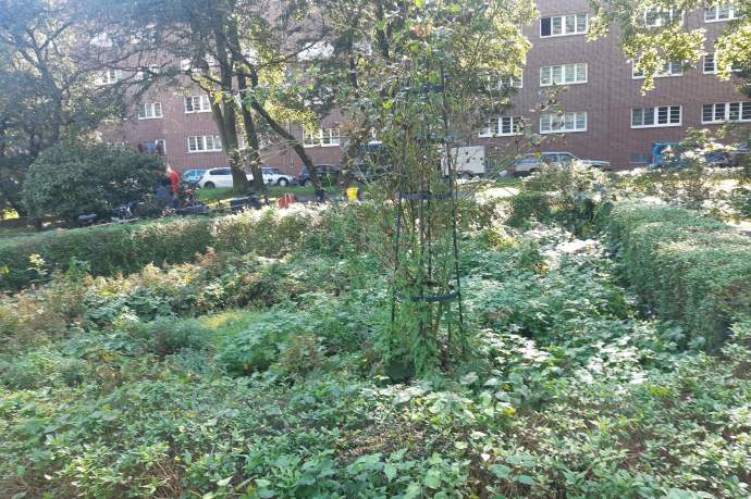 Garteneinsatz im Rosengarten Dulsberg