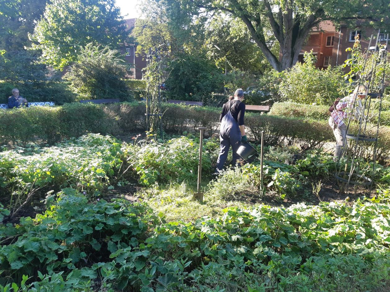 Garteneinsatz im Rosengarten Dulsberg