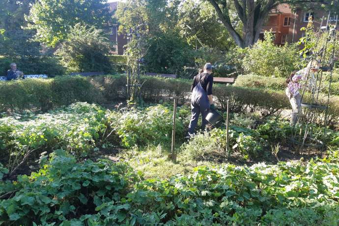 Garteneinsatz im Rosengarten Dulsberg