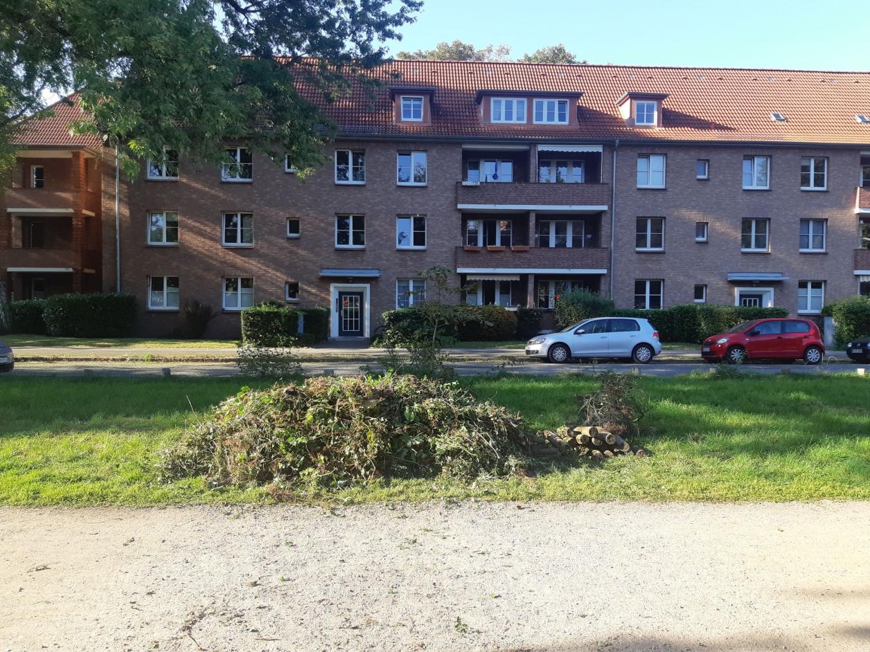 Garteneinsatz im Rosengarten Dulsberg