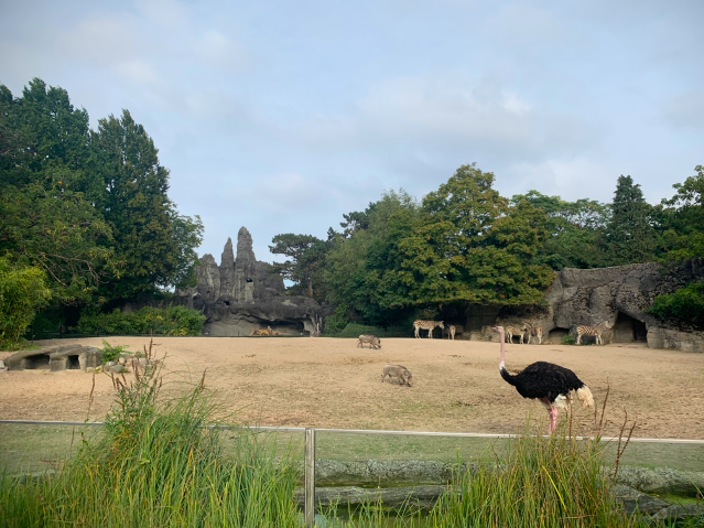 Tierpark Hagenbeck