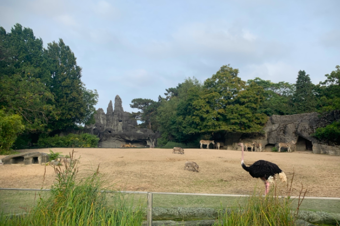 Rundgang durch das historische Panoramagehege Tierpark Hagenbeck