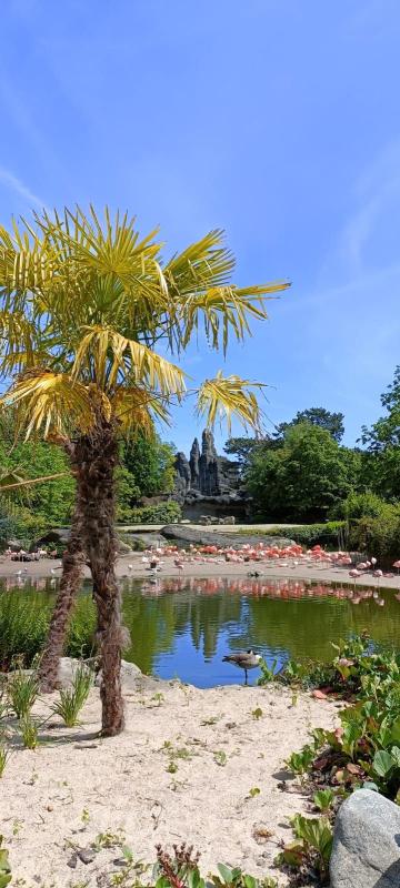 Tierpark Hagenbeck