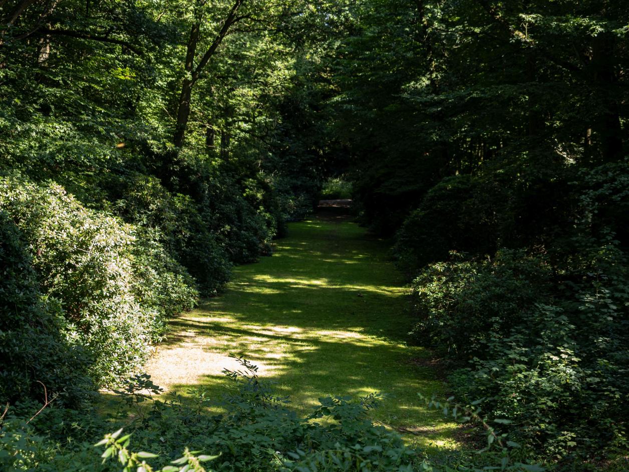 Naturansicht in Harburgs Parklandschaft, Foto: Heinz Brossolat