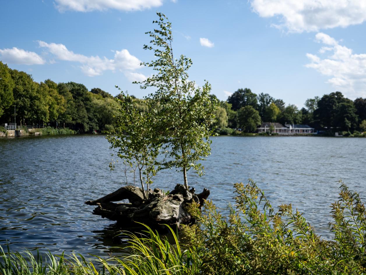 Außenmühlenteich, Foto: Heinz Brossolat
