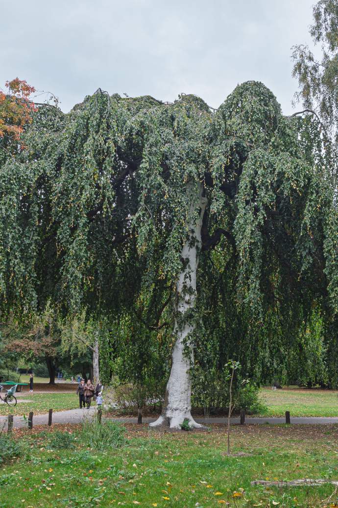 Rundgang: "Jacobipark"