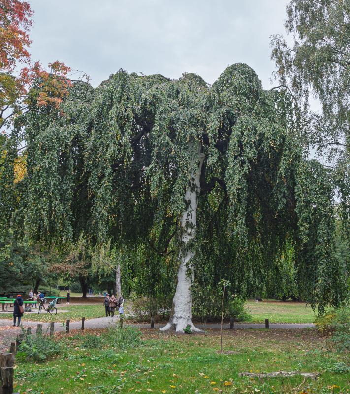 Rundgang: "Jacobipark"
