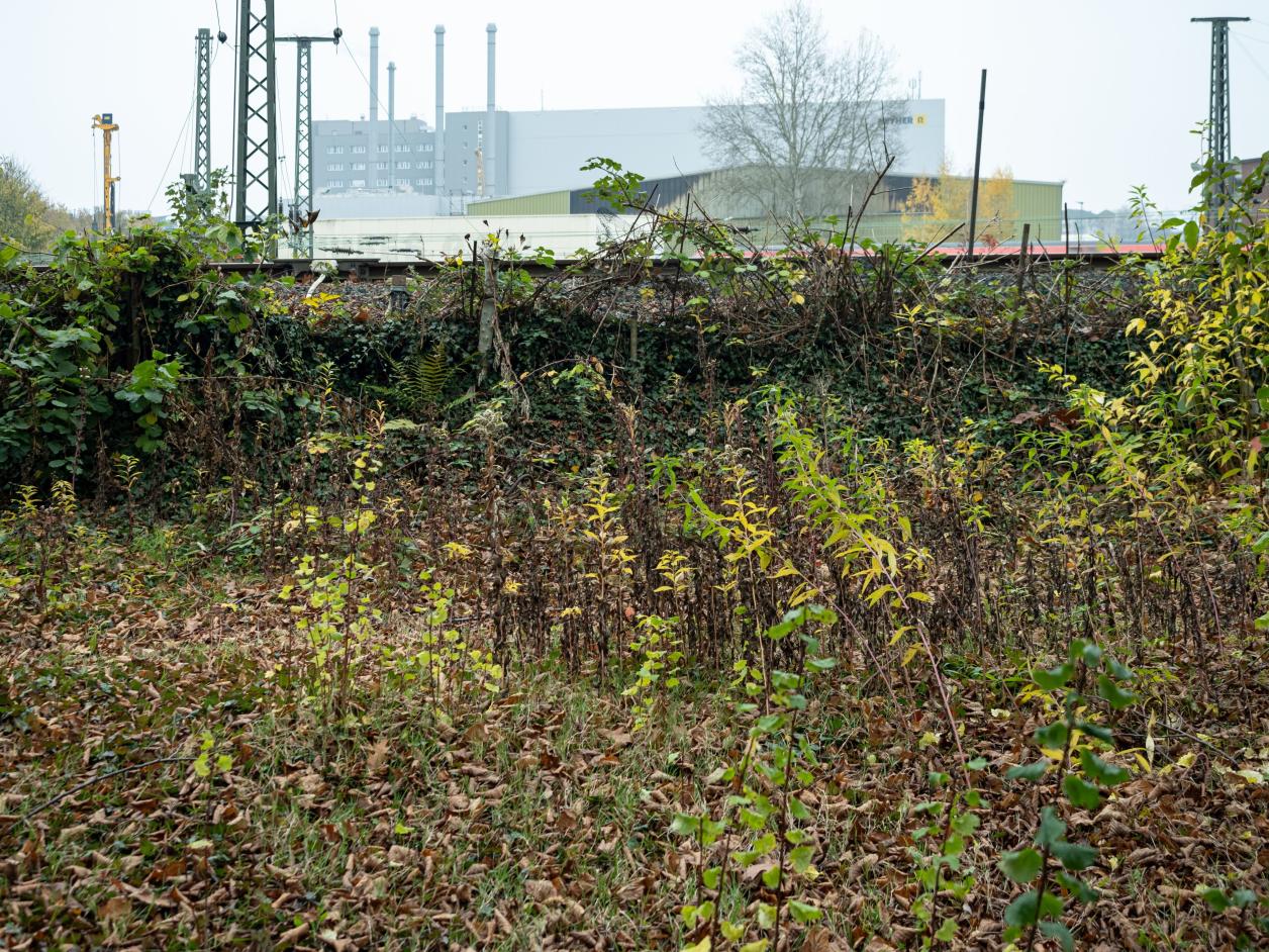 Foto: Heinz Brossolat