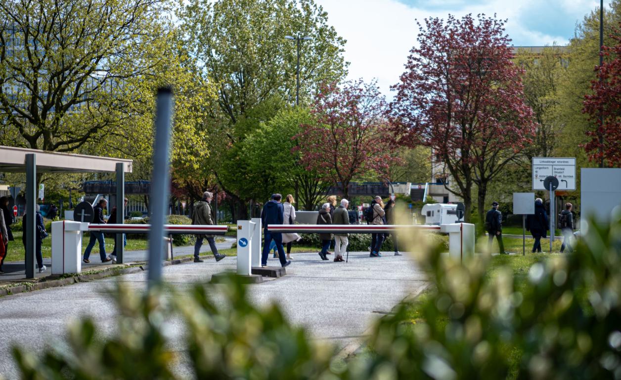 Die Teilnehmenden-Schar, Foto: Heinz Brossolat