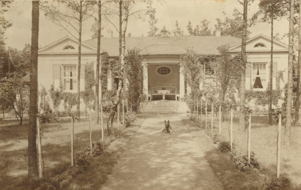 Historische Postkarte, 1907 verschickt: Sammlung Stadtmuseum Harburg
