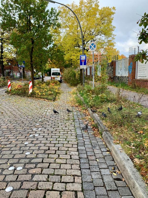 Historisches Pflaster Haubachstraße, Foto: Kristina Sassenscheidt