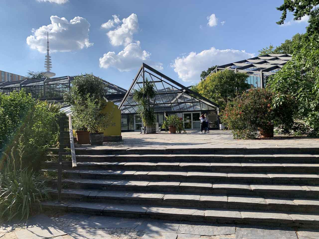 Schaugewchshuser in Gefahr | Denkmalverein Hamburg