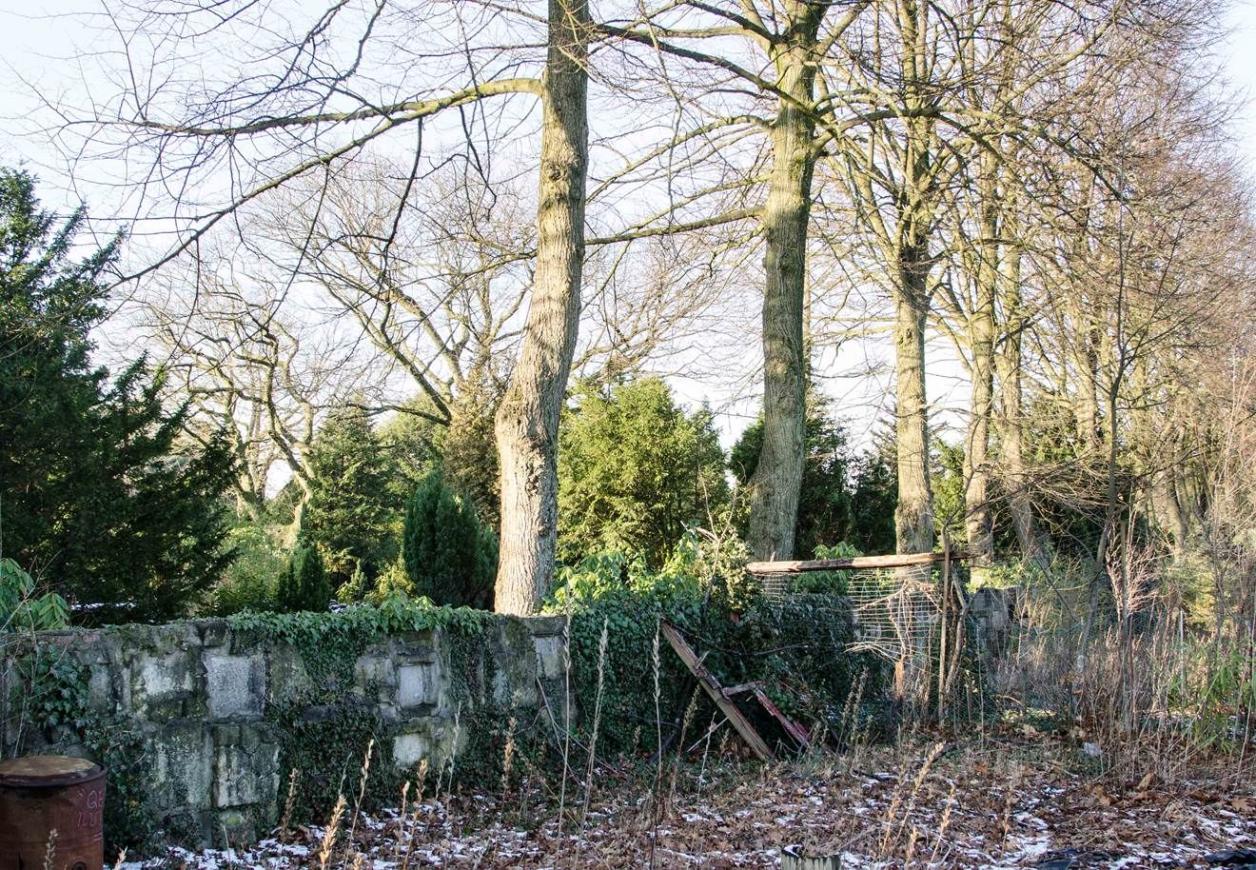 Friedhofsmauer an der Baustraße, 2019, Foto: Kirsten Petersen