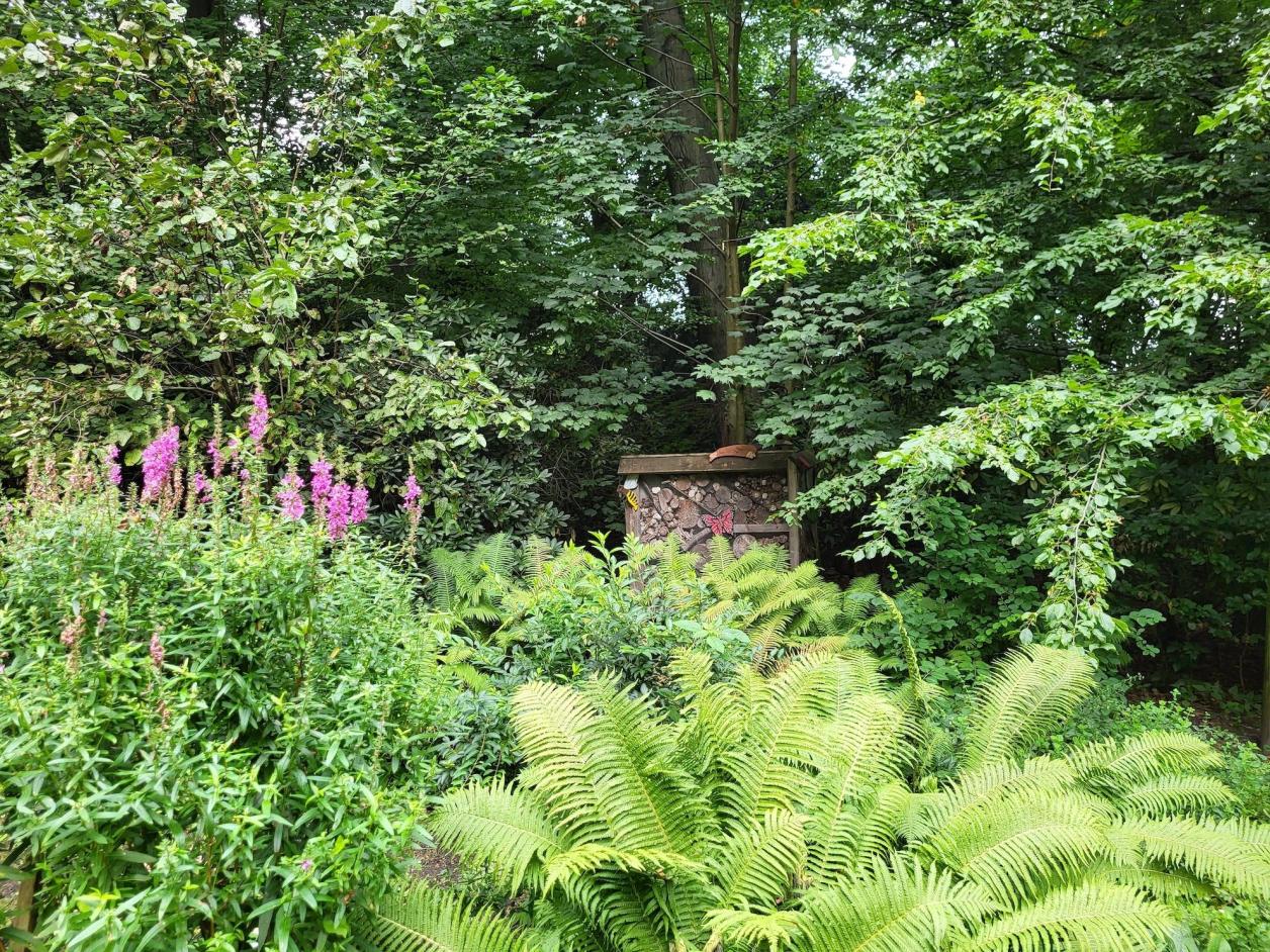 "Sierichsches Forsthaus" im Stadtpark