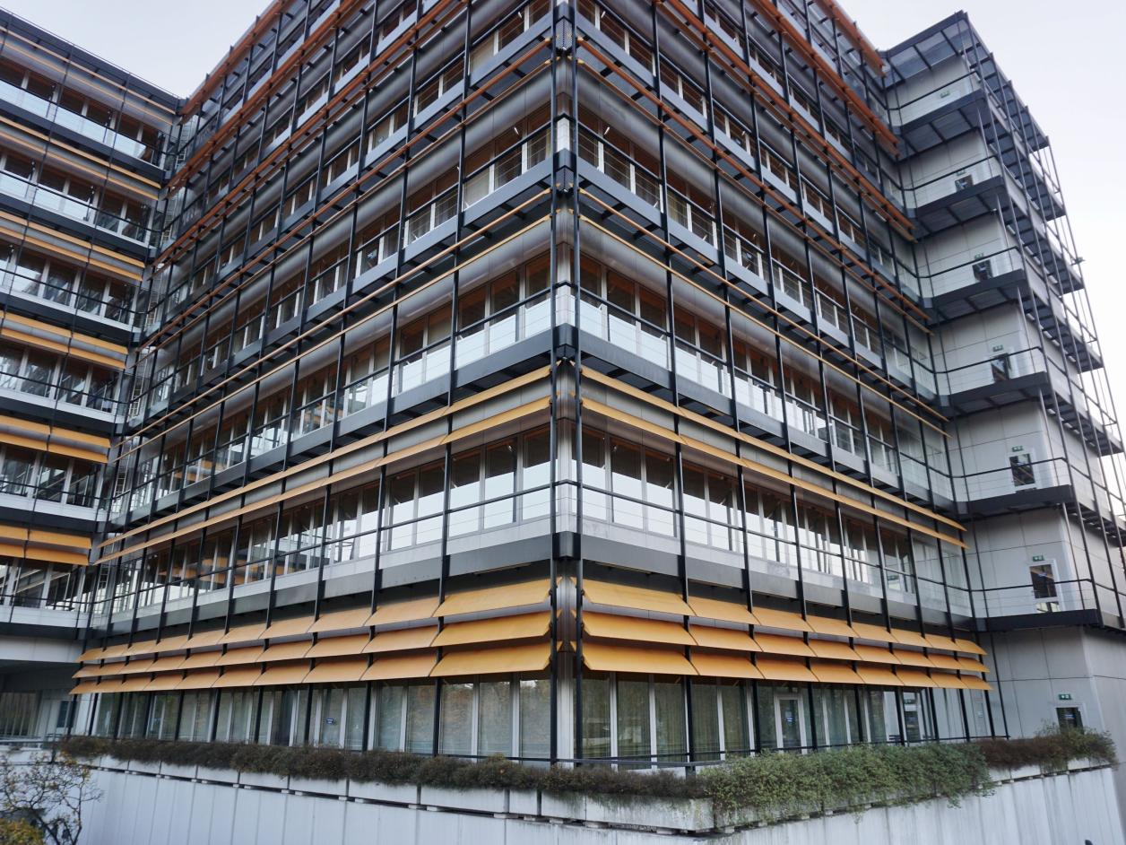 Foto: Marco Alexander Hosemann